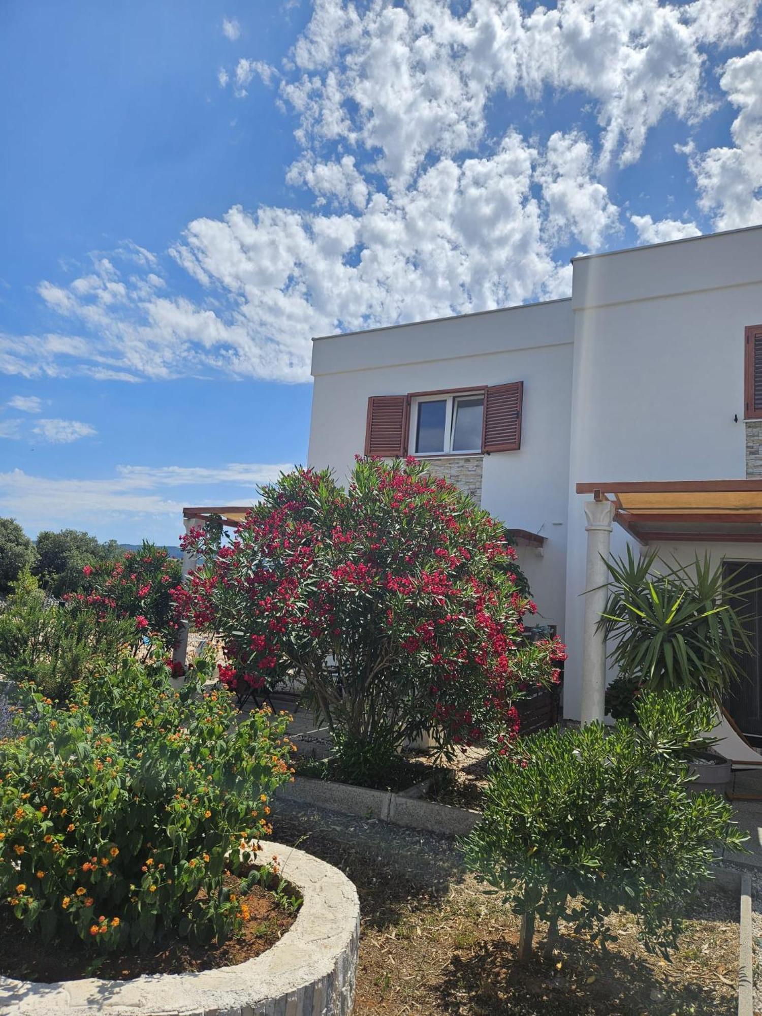 Apartments Cvijet Mora Sreser Ngoại thất bức ảnh